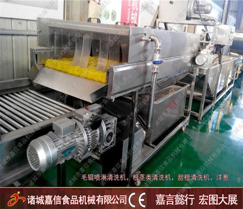 白菜氣泡清洗加工機一站式服務專業(yè)團隊在線服務