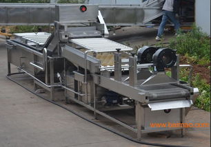 廠家直銷優(yōu)質(zhì)大蒜清洗風(fēng)干機,廠家直銷優(yōu)質(zhì)大蒜清洗風(fēng)干機生產(chǎn)廠家,廠家直銷優(yōu)質(zhì)大蒜清洗風(fēng)干機價格